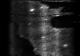 ascat_grayscale_ch5.png